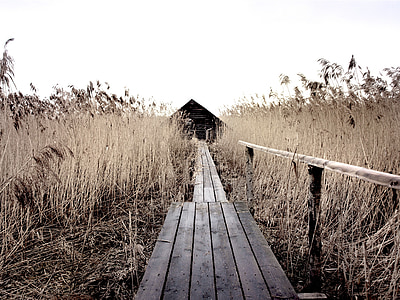 grayscale photography of bridge with grass thumbnail