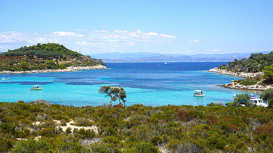 island with green trees next to sea water thumbnail