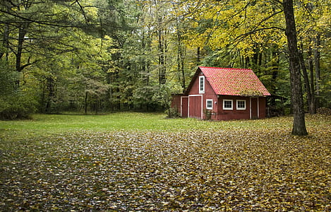 brown wooden house in the middle of forest thumbnail