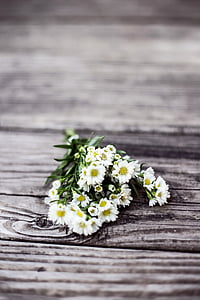 white daisies bouquet thumbnail