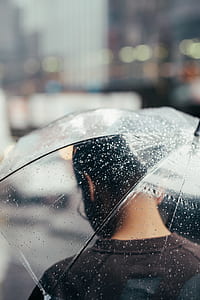selective focus photography of man holding clear umbrella with dew drops thumbnail