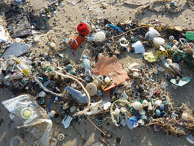 garbage on seashore thumbnail