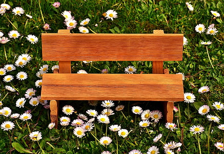brown wooden bench beside daisy flowers thumbnail