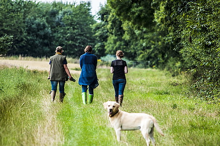 adult yellow Labrador retriever standing on grass near three people during daytime thumbnail