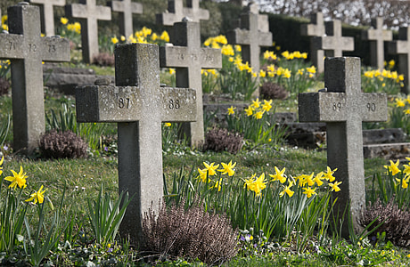 gray cross tomb stones thumbnail