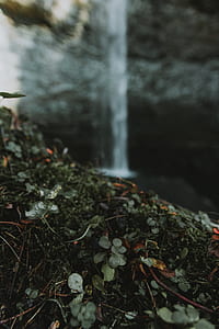 green grass near water fall thumbnail