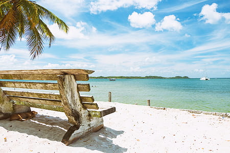 empty bench in front of beach thumbnail