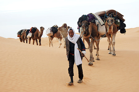 men with six camel walking in desert during day time thumbnail