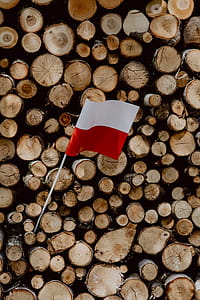 Flag of Poland - Polska Flaga thumbnail