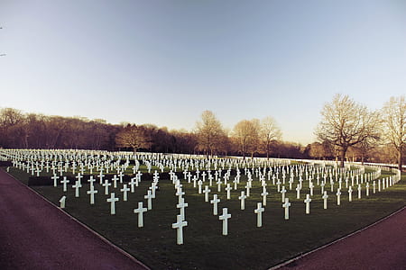 graveyard under gray sky thumbnail