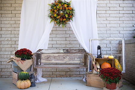 brown wooden bench beside red roses thumbnail