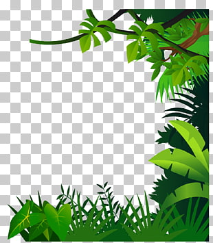 Drawing Jungle , border material, green leafed plants illustration PNG clipart
