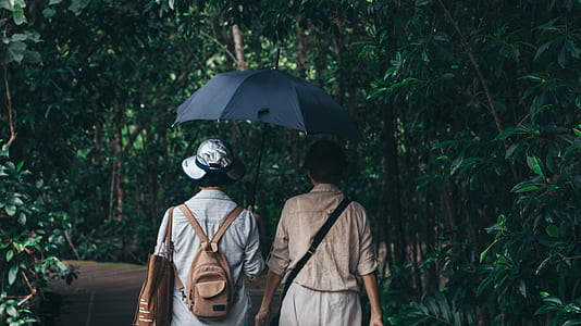 two person walking between trees under the umbrella thumbnail