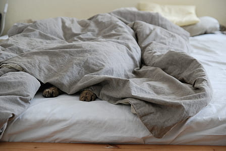 gray comforter on bed thumbnail
