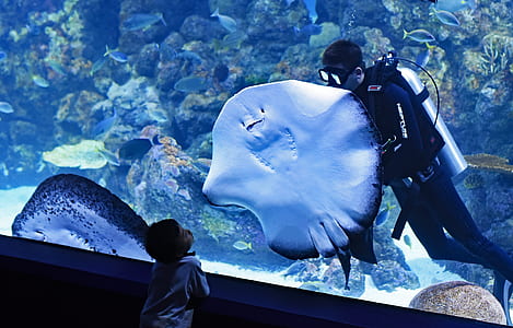 man holding a sting ray thumbnail