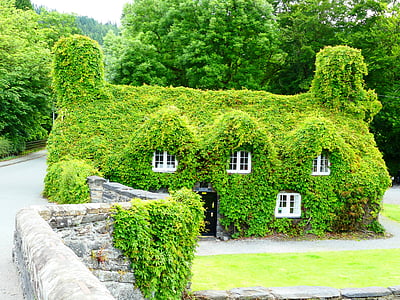 house surrounded by green leafed house thumbnail