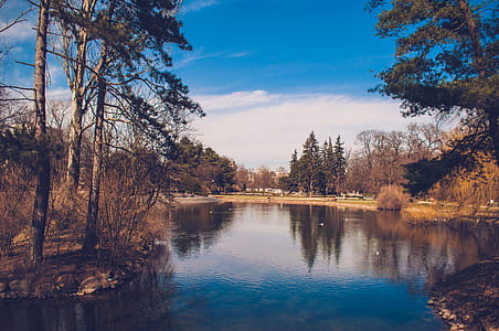 Body of Water thumbnail