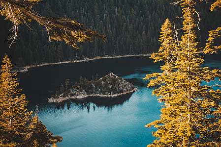 island surrounded with calm water with trees at the distance at daytime thumbnail