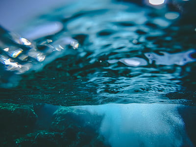 underwater photography thumbnail