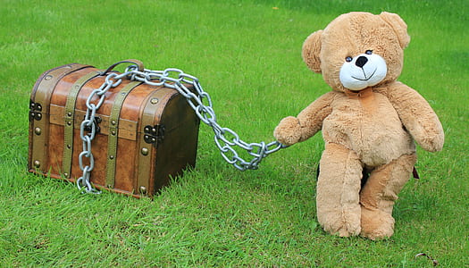 brown wooden steamer trunk beside bear plush toy thumbnail