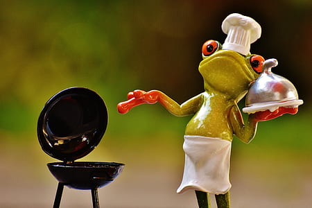 photo of frog holding food tray near kettle grill thumbnail
