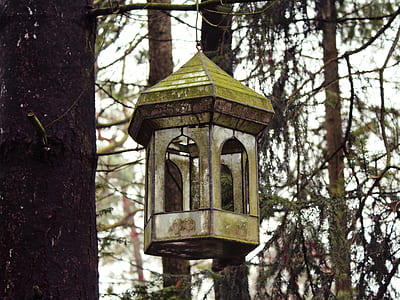 brown and green hanging candle lantern on tree at daytime thumbnail