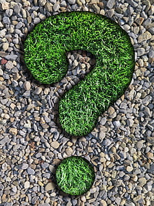 green grass thumbnail