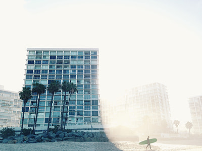 four coconut trees in front high-rise building near sea thumbnail
