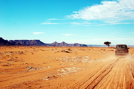 gray SUV on dessert during daytime thumbnail