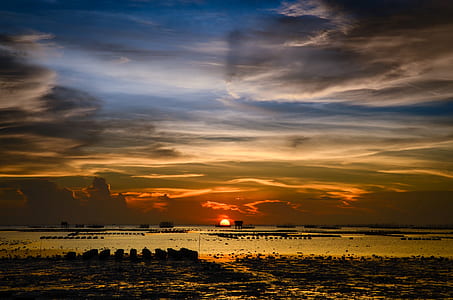 seashore during goldenhour thumbnail