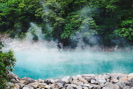 landscape photo of body of water and trees thumbnail