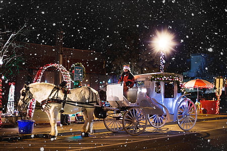 man sitting on carriage during night thumbnail