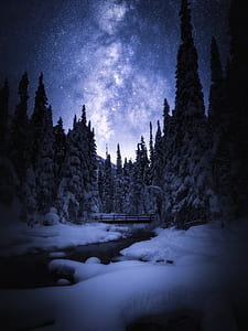 river between snow coated tree at nighttime thumbnail