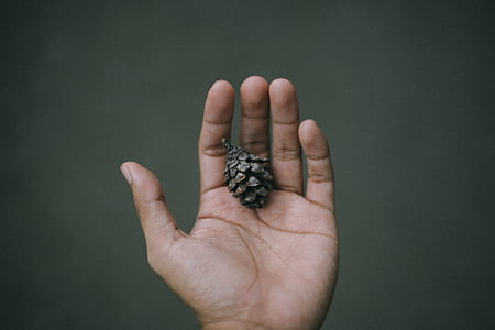 person holding black accessory thumbnail
