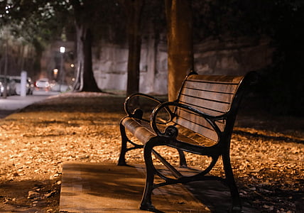 brown and black bench taken beside tree thumbnail