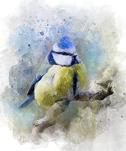 blue and yellow bird perch on tree branch painting thumbnail