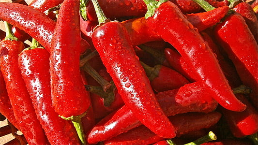 Red Chili thumbnail