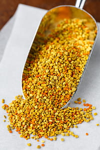 pet foods thumbnail