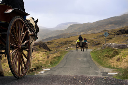 horse carriage on grey concrete road at daytime thumbnail