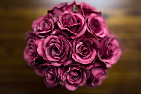 selective focus photography of pink roses bouquet thumbnail