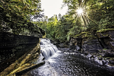 body of water surrounding trees thumbnail
