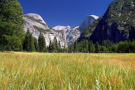 green grass field near mountain thumbnail