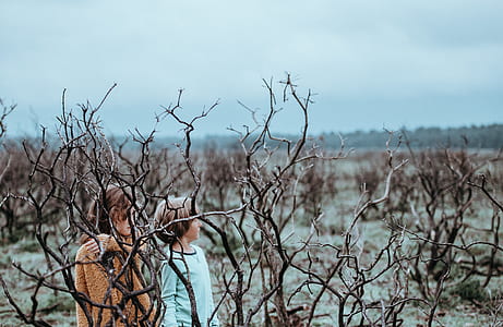 boy and girl standing near bare trees thumbnail