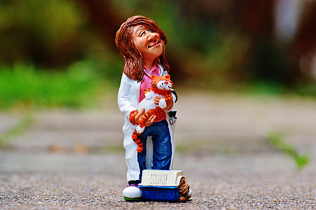 selective focus photography of veterinarian holding cat figurine thumbnail
