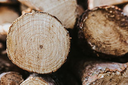 Wooden logs thumbnail