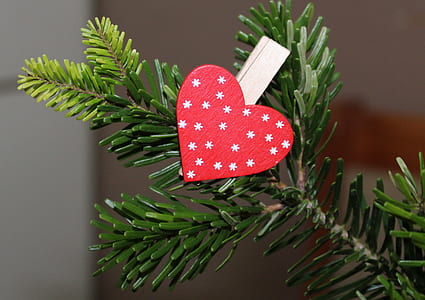 selective focus photo of red Christmas tree with heart ornament thumbnail