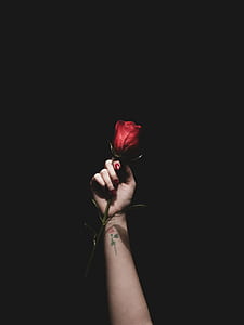 woman holding red rose thumbnail