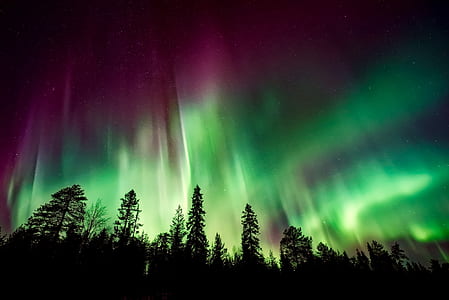 aurora borealis thumbnail