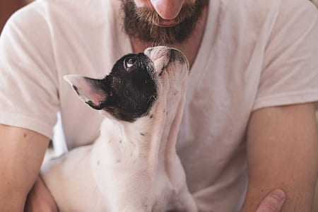 man wearing white t-shirt holding black and white French bulldog thumbnail