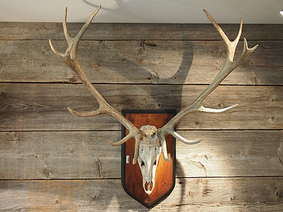 deer wall decoration thumbnail